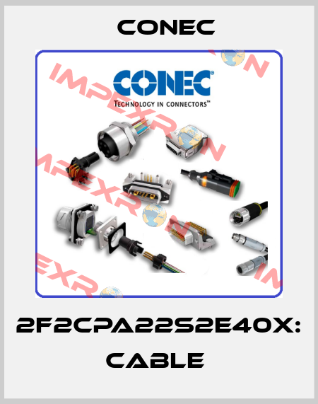 2F2CPA22S2E40X: Cable  CONEC