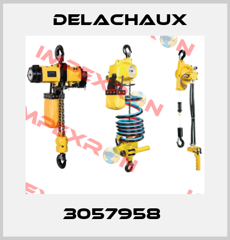 3057958  Delachaux