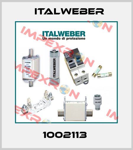 1002113  Italweber