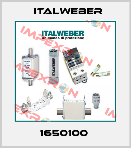 1650100  Italweber