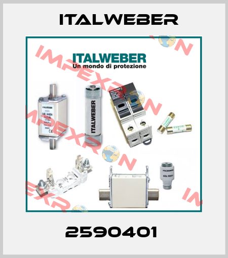2590401  Italweber
