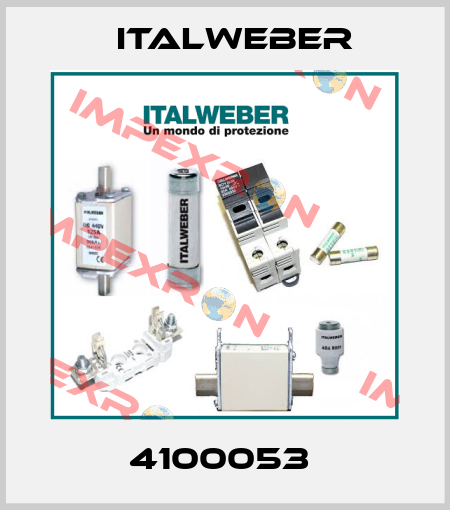4100053  Italweber