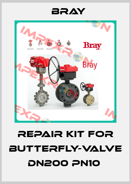 Repair kit for butterfly-valve DN200 PN10  Bray