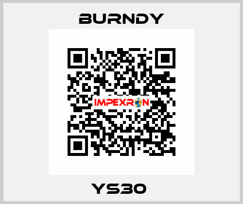 YS30  Burndy