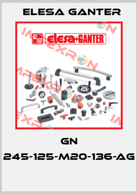 GN 245-125-M20-136-AG  Elesa Ganter