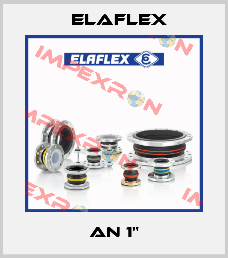 AN 1" Elaflex