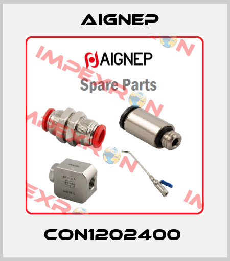 CON1202400  Aignep