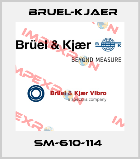 SM-610-114  Bruel-Kjaer