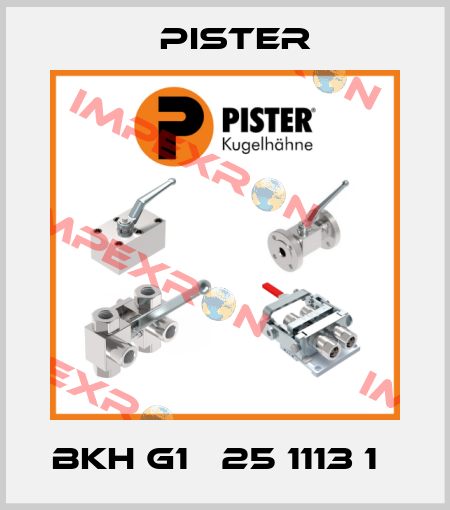 BKH G1   25 1113 1   Pister
