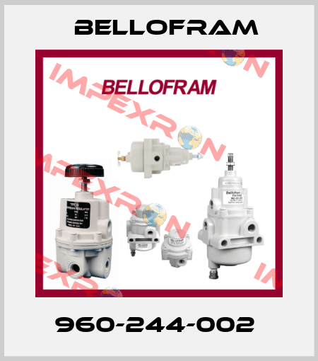 960-244-002  Bellofram