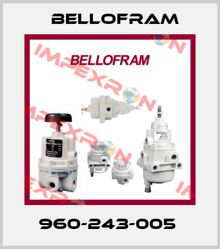 960-243-005  Bellofram