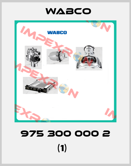 975 300 000 2 (1)   Wabco