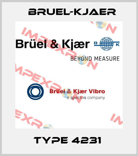 Type 4231  Bruel-Kjaer