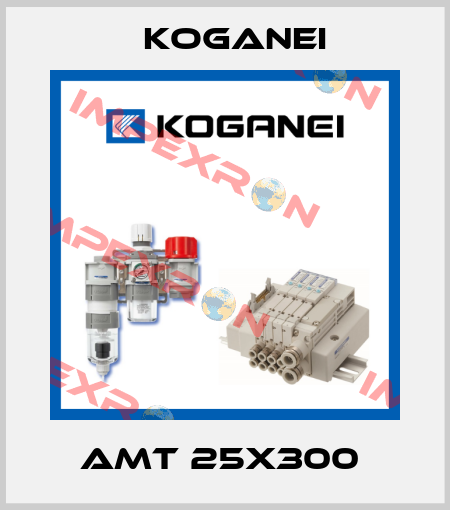 AMT 25X300  Koganei