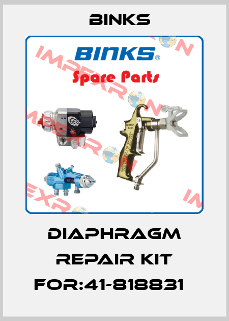 Diaphragm Repair Kit For:41-818831   Binks