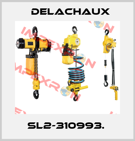 SL2-310993.  Delachaux
