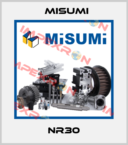 NR30 Misumi