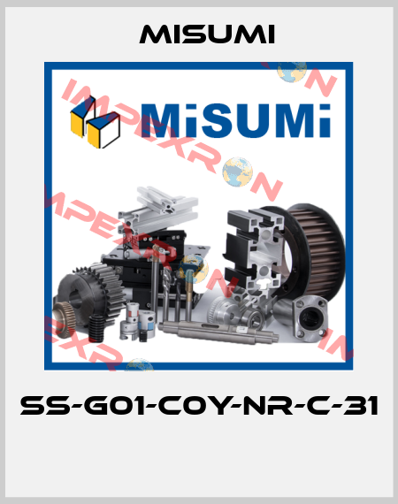 SS-G01-C0Y-NR-C-31  Misumi