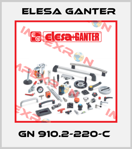 GN 910.2-220-C  Elesa Ganter