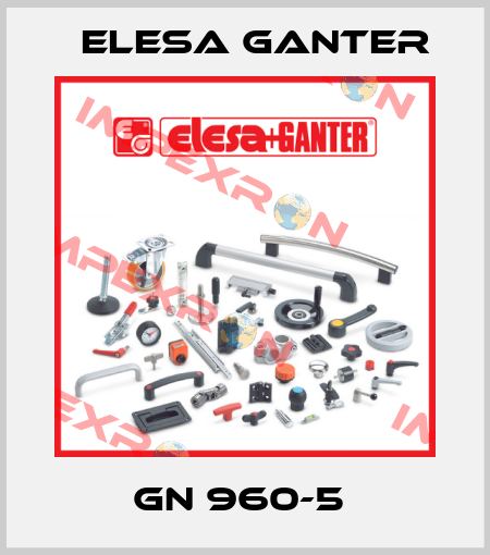 GN 960-5  Elesa Ganter
