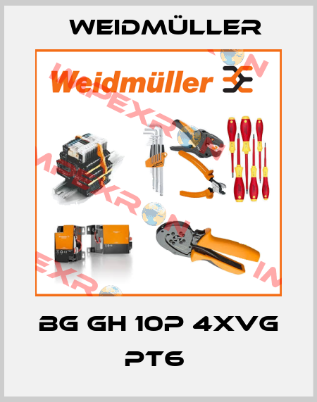 BG GH 10P 4XVG PT6  Weidmüller
