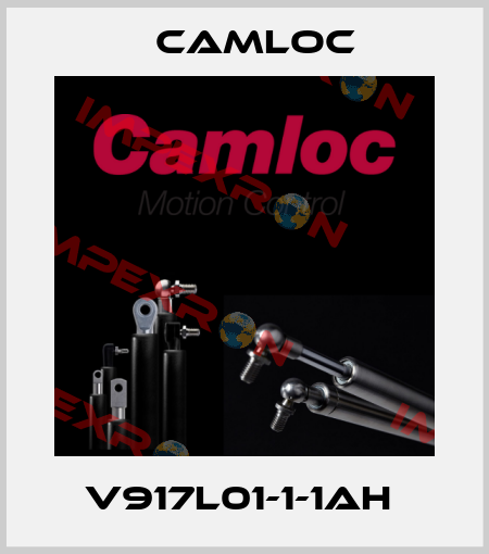 V917L01-1-1AH  Camloc