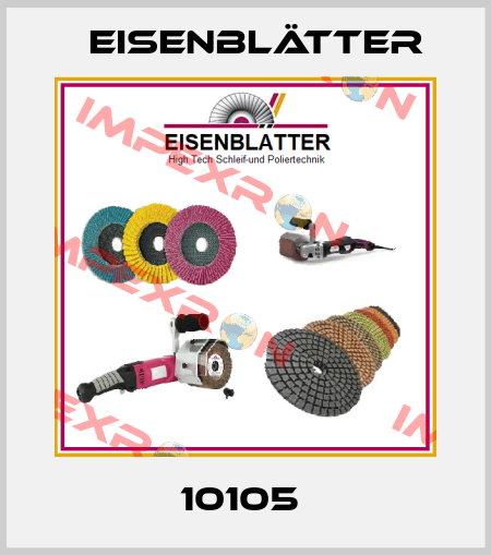 10105  Eisenblätter