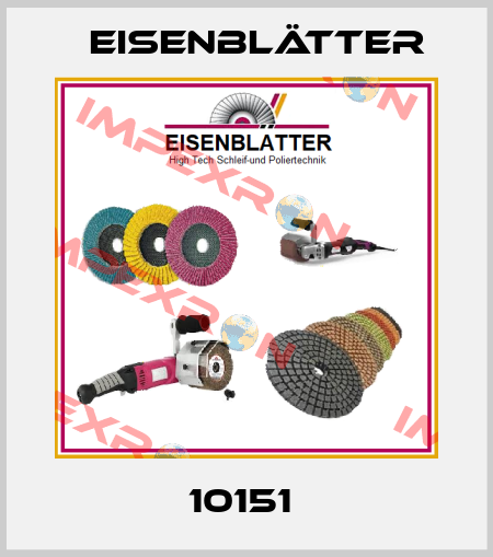 10151  Eisenblätter