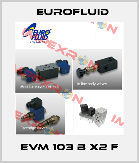 EVM 103 B X2 F Eurofluid