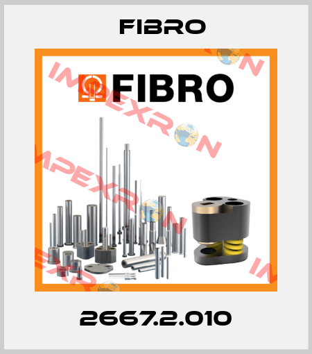2667.2.010 Fibro