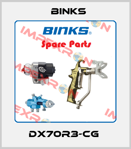 DX70R3-CG  Binks