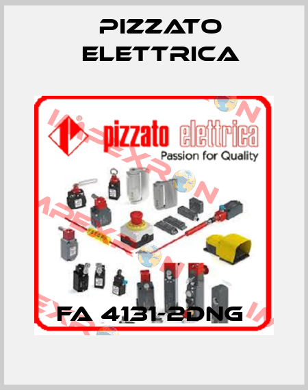 FA 4131-2DNG  Pizzato Elettrica