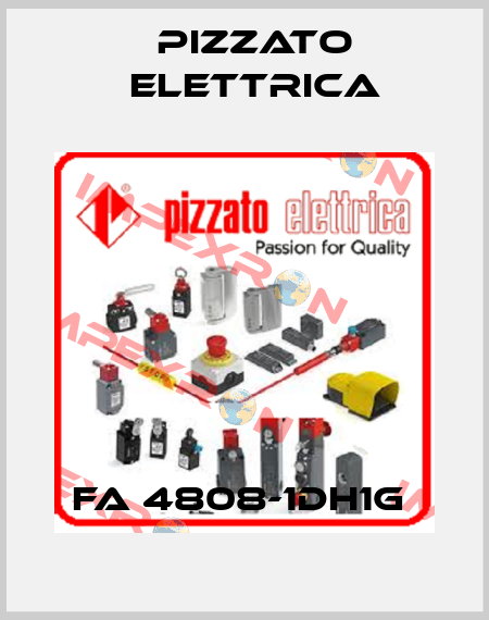 FA 4808-1DH1G  Pizzato Elettrica
