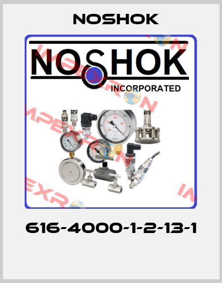 616-4000-1-2-13-1  Noshok