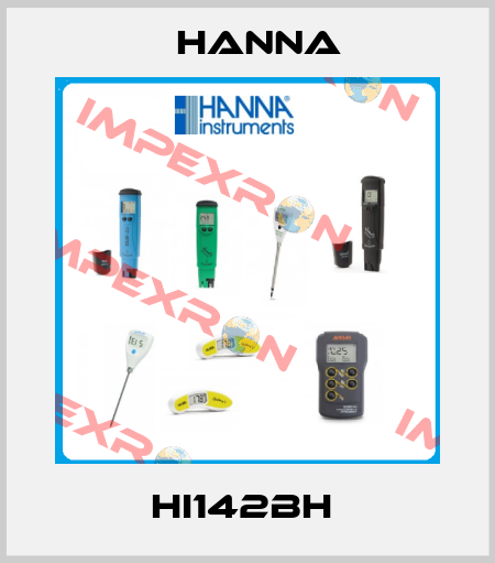 HI142BH  Hanna