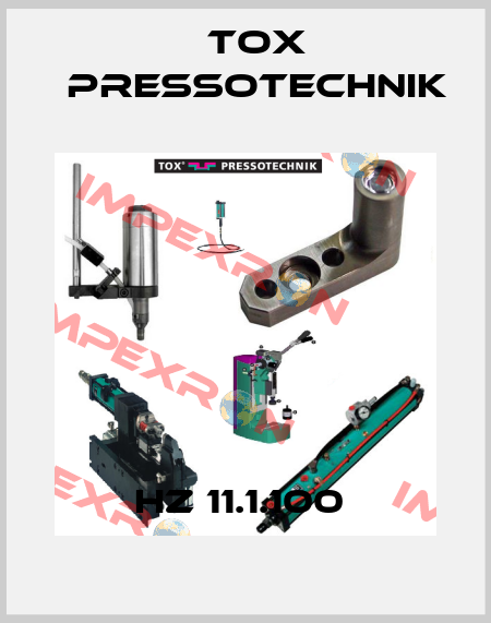 HZ 11.1.100  Tox Pressotechnik