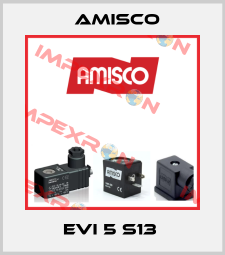 EVI 5 S13  Amisco