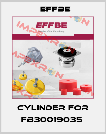 Cylinder for FB30019035  Effbe