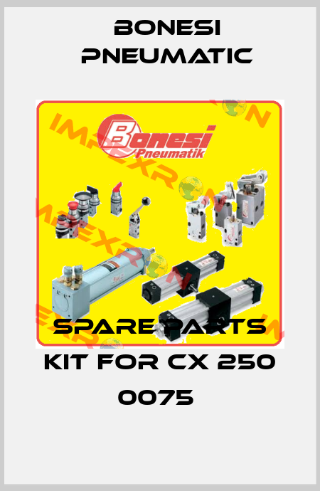 spare parts kit for CX 250 0075  Bonesi Pneumatic