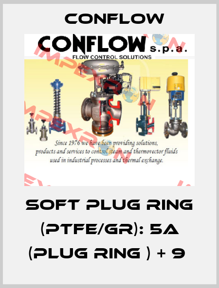 SOFT PLUG RING (PTFE/GR): 5a (PLUG RING ) + 9  CONFLOW