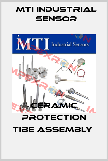 Ceramic Protection Tibe Assembly  MTI Industrial Sensor