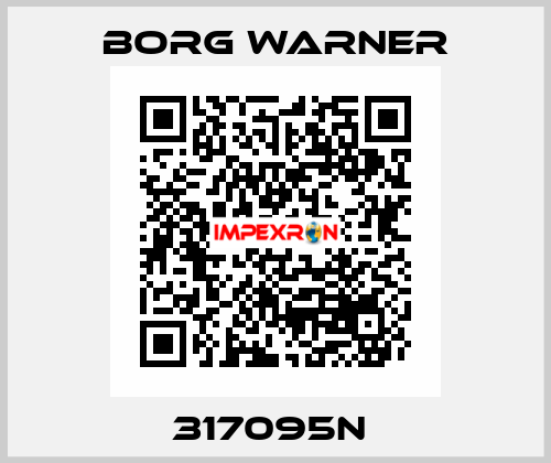 317095N  Borg Warner