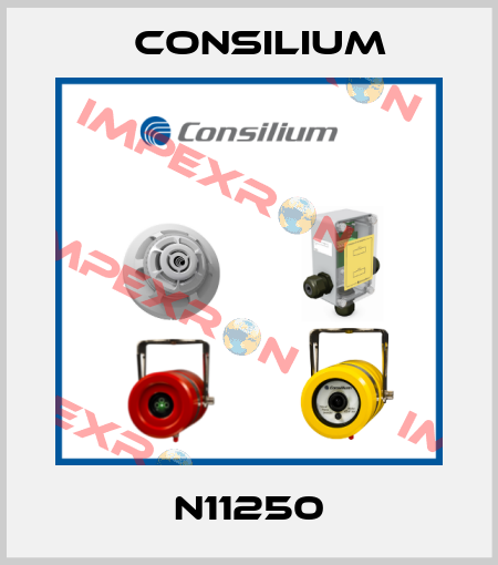 N11250 Consilium