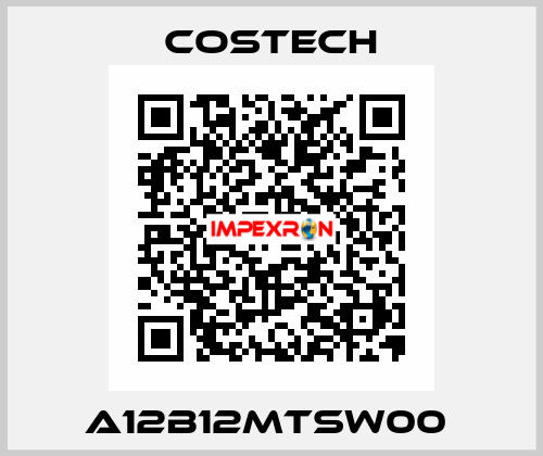 A12B12MTSW00  Costech