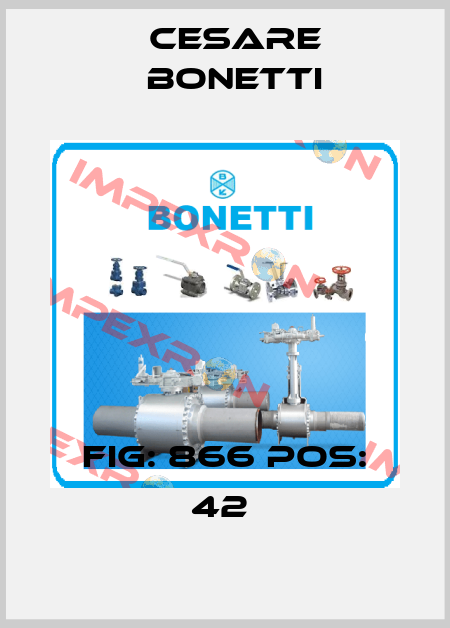Fig: 866 Pos: 42  Cesare Bonetti