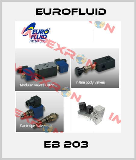EB 203  Eurofluid