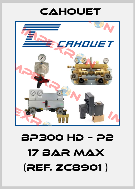  BP300 HD – P2 17 bar max  (ref. ZC8901 )  Cahouet