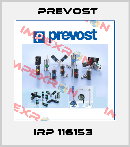 IRP 116153  Prevost