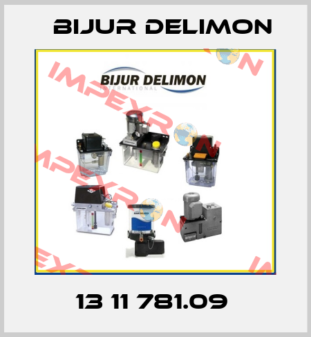 13 11 781.09  Bijur Delimon