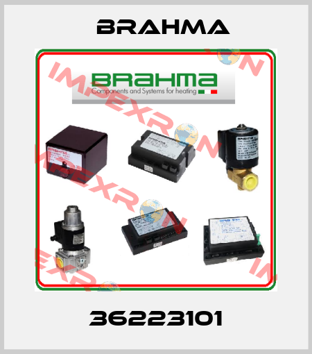 36223101 Brahma